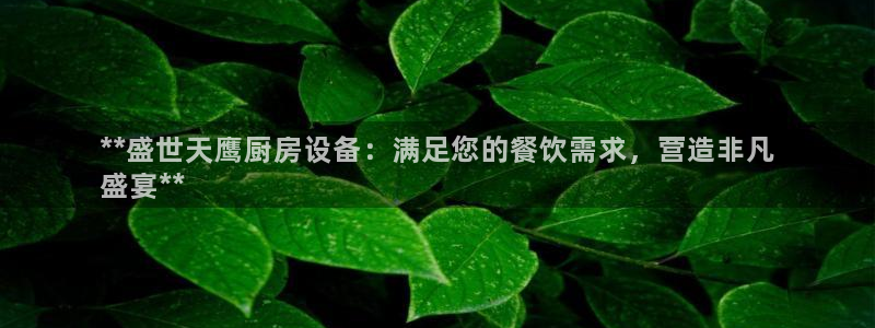 尊龙凯时有假么：**盛世天鹰厨房设备：满足您的餐饮需求，营造