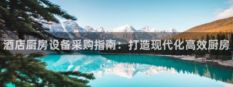 尊龙凯时账号异常审核提不了款怎么办：酒店厨房设备采购指南：打