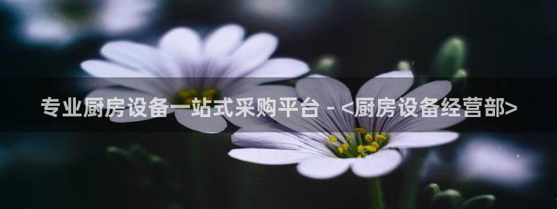 kb88凯时唯一官网注册：专业厨房设备一站式采购平台 - <