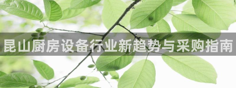 尊龙凯时人生就是搏官方网