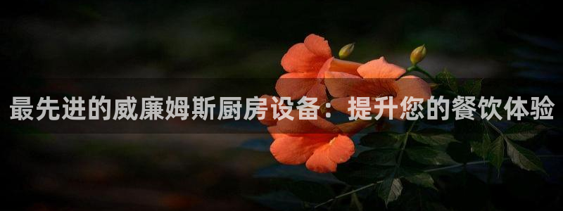 尊龙凯时凯发官网：最先进的威廉姆斯厨房设备：提升您的餐饮体验