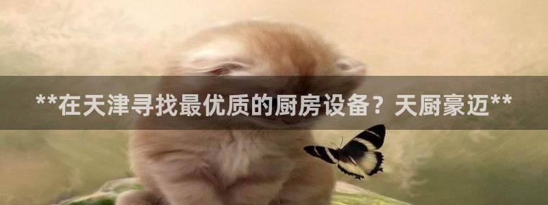 Ag尊龙平台：**在天津寻找最优质的厨房设备？天厨豪迈**