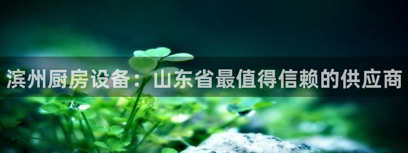 尊龙人生就是博AG：滨州厨房设备：山东省最值得信赖的供应商