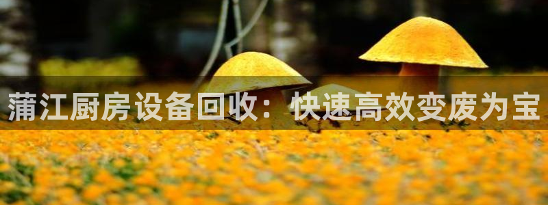 尊龙最近一次露面：蒲江厨房设备回收：快速高效变废为宝