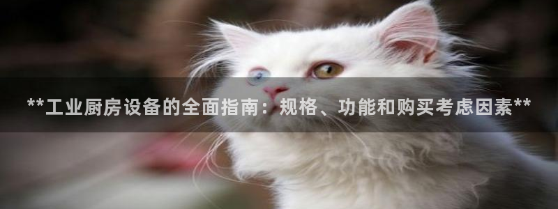 尊龙凯时官网入口：**工业厨房设备的全面指南：规格、功能和购