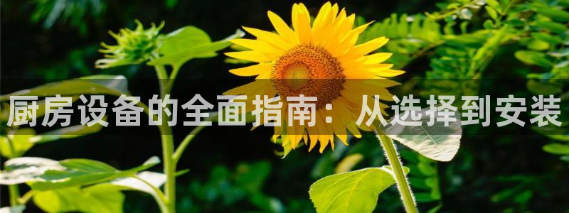 尊龙官方平台是正品吗：厨房设备的全面指南：从选择到安装