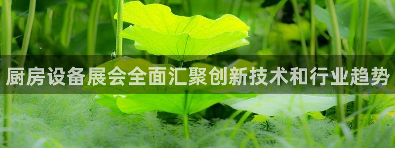 尊龙游戏官网：厨房设备展会全面汇聚创新技术和行业趋势