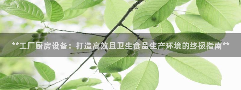 凯时赢来就送38：**工厂厨房设备：打造高效且卫生食品生产环
