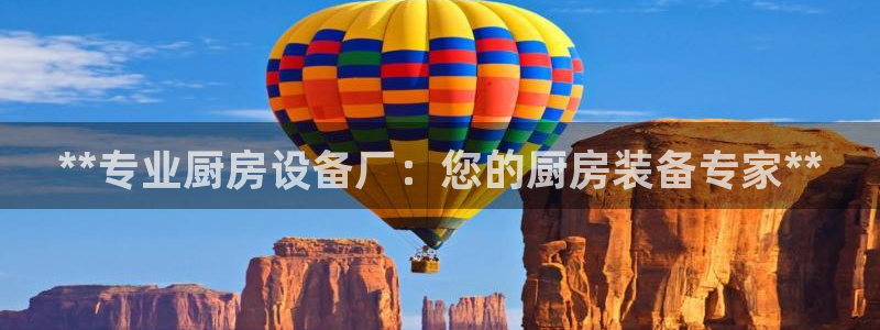 尊龙集团有限公司官网：**专业厨房设备厂：您的厨房装备专家*