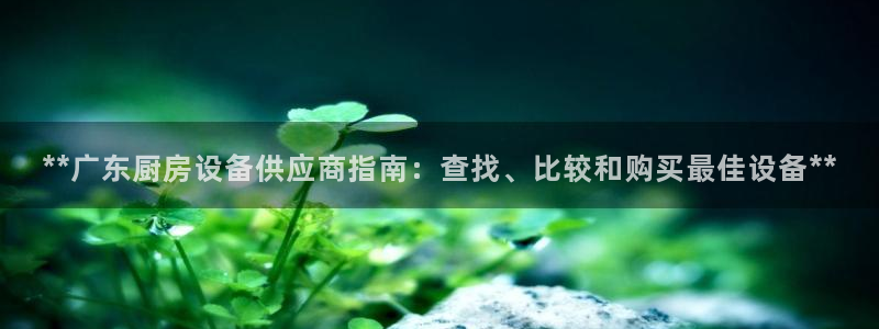 尊龙app最新版本官网：**广东厨房设备供应商指南：查找、比
