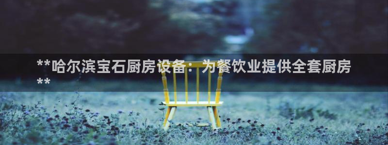 尊龙人生就是博AG旗舰厅：**哈尔滨宝石厨房设备：为餐饮业提