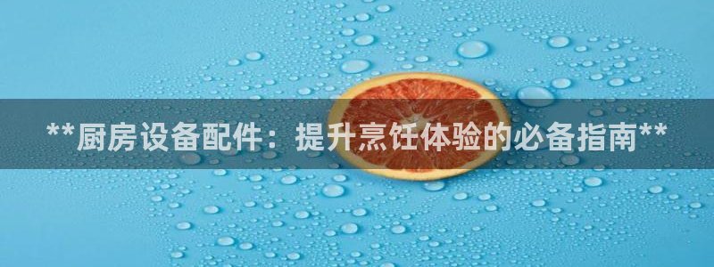 尊龙科技：**厨房设备配件：提升烹饪体验的必备指南**