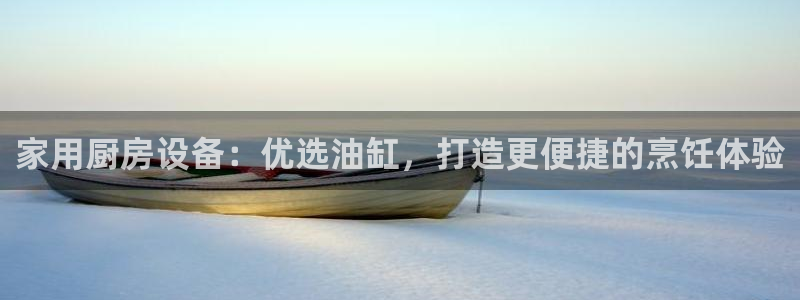 尊龙z6网址：家用厨房设备：优选油缸，打造更便捷的烹饪体验
