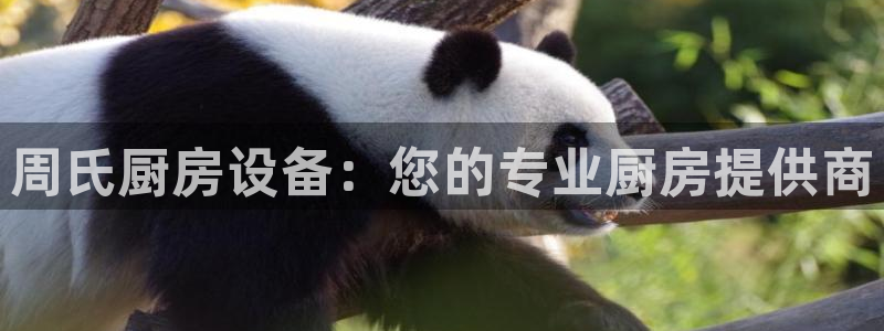 尊龙凯时官网入口：周氏厨房设备：您的专业厨房提供商