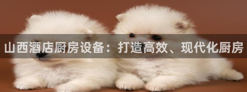 尊龙凯时下载链接：山西酒店厨房设备：打造高效、现代化厨房