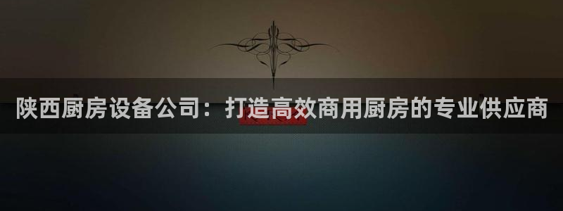 尊龙凯时官网：陕西厨房设备公司：打造高效商用厨房的专业供应商