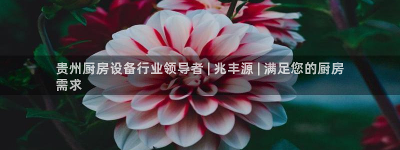尊龙体育电竞官网：贵州厨房设备行业领导者 | 兆丰源 | 满
