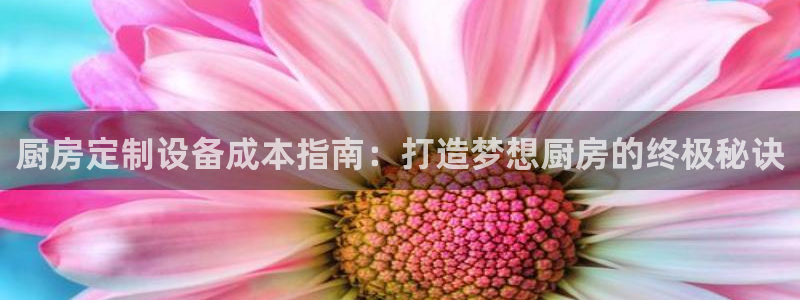 尊龙新版官网网页版：厨房定制设备成本指南：打造梦想厨房的终极