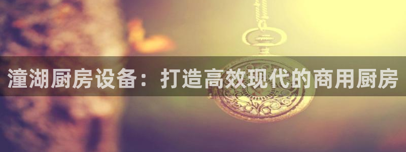 尊龙手机端下载：潼湖厨房设备：打造高效现代的商用厨房