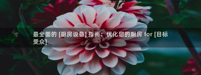 ag尊龙凯时官网：最全面的 [厨房设备] 指南：优化您的厨房