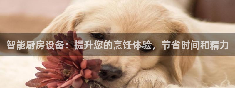 尊龙凯时老板是谁：智能厨房设备：提升您的烹饪体验，节省时间和