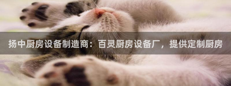 尊龙登录：扬中厨房设备制造商：百灵厨房设备厂，提供定制厨房
