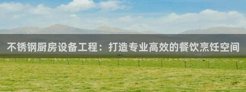尊龙凯时官网平台：不锈钢