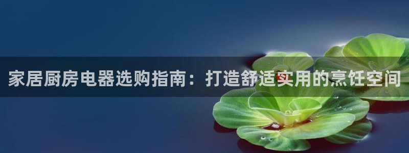 尊龙app官网登录：家居厨房电器选购指南：打造舒适实用的烹饪