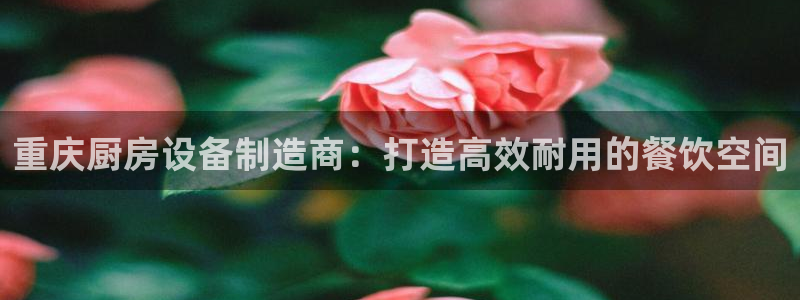 凯时ag旗舰厅网址是什么：重庆厨房设备制造商：打造高效耐用的