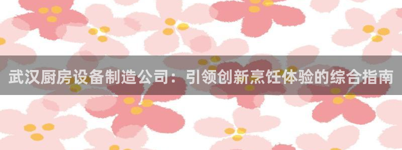 尊龙官网入口：武汉厨房设备制造公司：引领创新烹饪体验的综合指