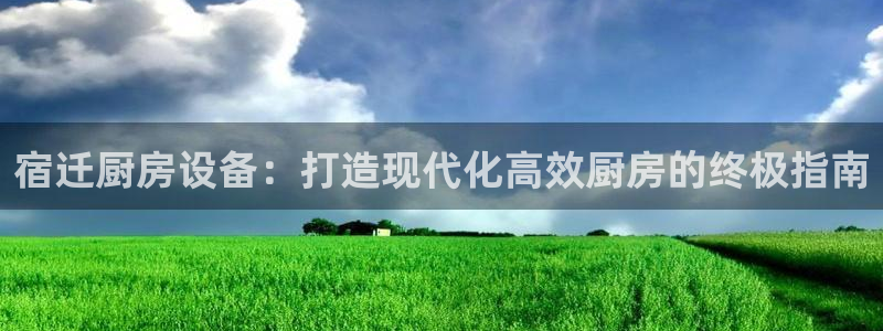 尊龙凯时是哪个国家的：宿迁厨房设备：打造现代化高效厨房的终极