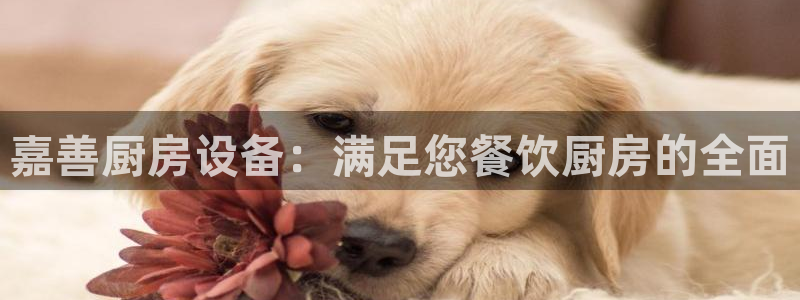 尊龙登录：嘉善厨房设备：满足您餐饮厨房的全面