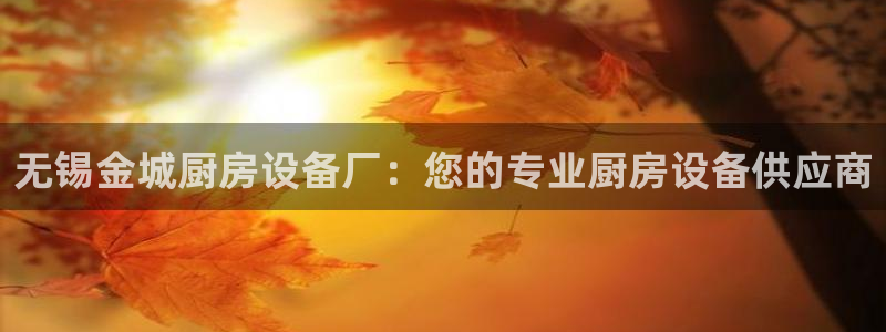 尊龙凯时正规吗：无锡金城厨房设备厂：您的专业厨房设备供应商