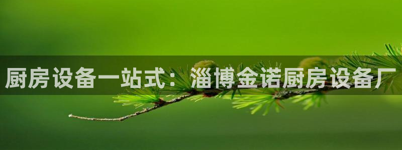 尊龙网址是选访问zd207：厨房设备一站式：淄博金诺厨房设备