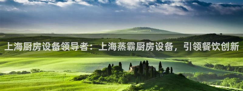 尊龙凯时干什么的：上海厨房设备领导者：上海蒸霸厨房设备，引领