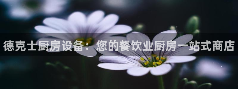 尊龙 下载：德克士厨房设备：您的餐饮业厨房一站式商店