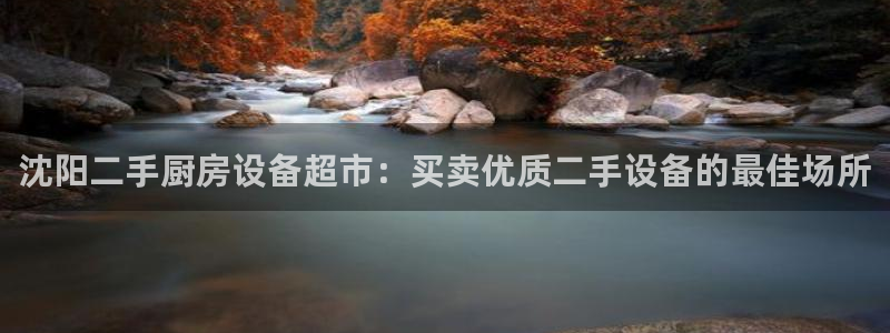 尊龙d88平台：沈阳二手厨房设备超市：买卖优质二手设备的最佳