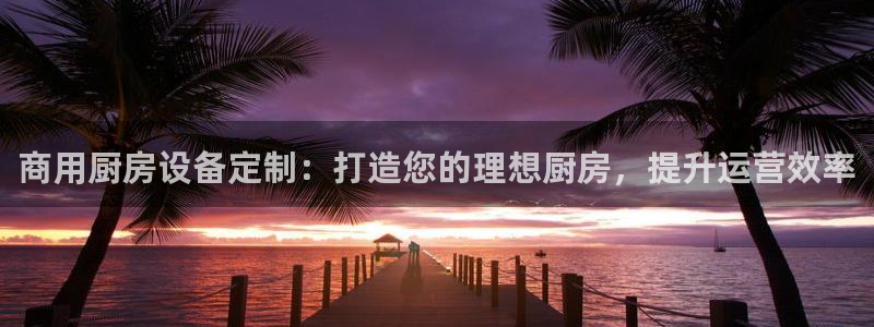 尊龙物流怎么样：商用厨房设备定制：打造您的理想厨房，提升运营