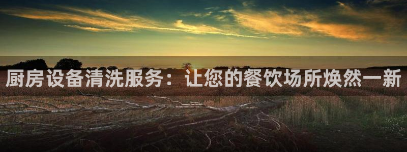 尊龙凯时提款一直审核中：厨房设备清洗服务：让您的餐饮场所焕然