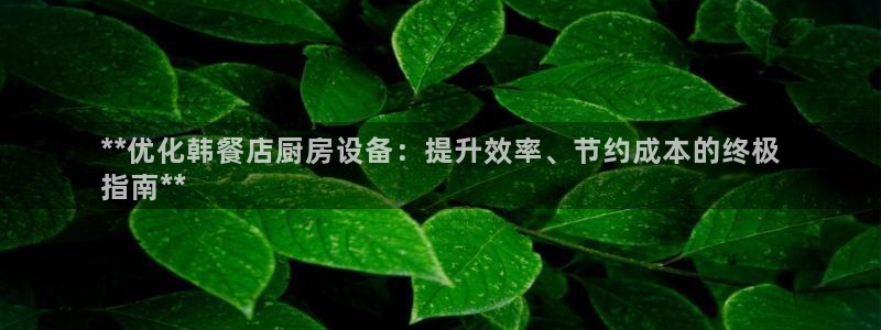 尊龙z6官网ag：**优化韩餐店厨房设备：提升效率、节约成本