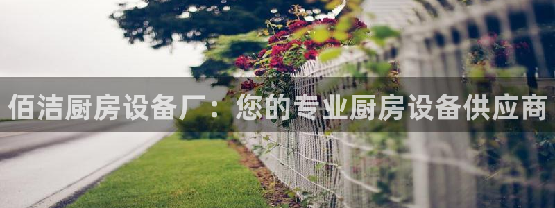 尊龙人生就是博官：佰洁厨房设备厂：您的专业厨房设备供应商