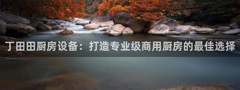 尊龙凯时麻将胡了：丁田田