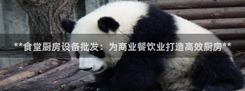 尊龙人生就是-首页：**食堂厨房设备批发：为商业餐饮业打造高