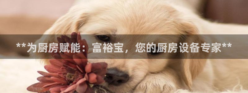 z6尊龙凯时旗：**为厨房赋能：富裕宝，您的厨房设备专家**