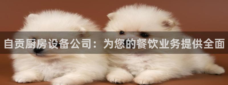 尊龙手机官方客户端下载安卓：自贡厨房设备公司：为您的餐饮业务