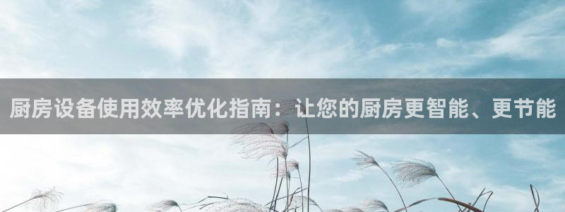 凯时首页登录：厨房设备使用效率优化指南：让您的厨房更智能、更