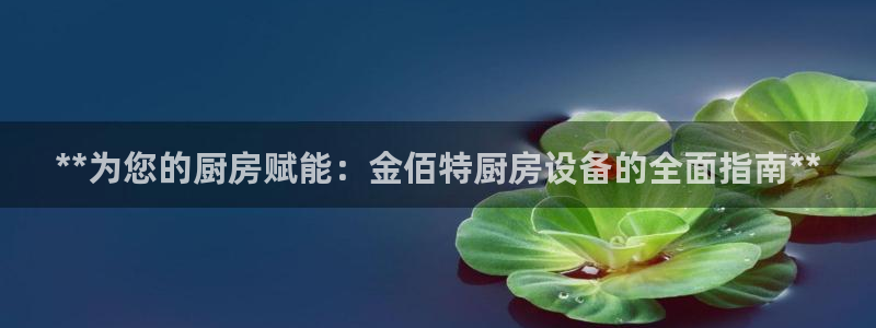凯时app赢AG发财网来就送38：**为