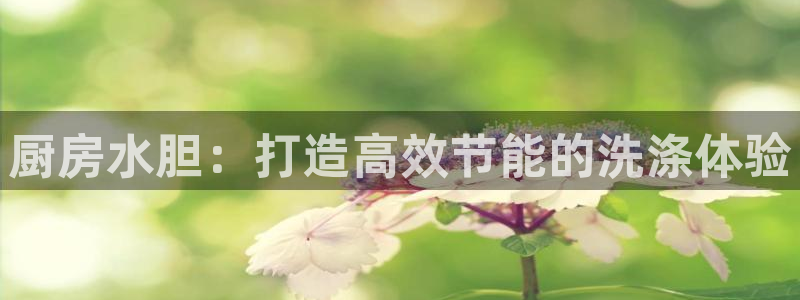 尊龙凯时百家乐手机下载：厨房水胆：打造高效节能的洗涤体验