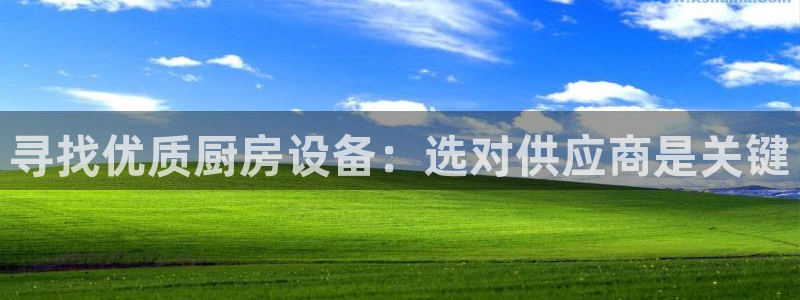 尊龙最近一次露面：寻找优质厨房设备：选对