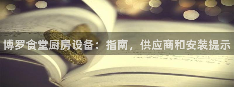 尊龙凯时人生就是搏平台：博罗食堂厨房设备：指南，供应商和安装